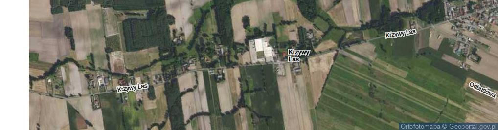 Zdjęcie satelitarne Krzywy Las ul.